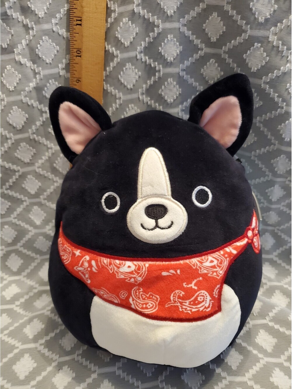 Teddy The Boston Terrier